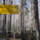 A sign warning people not to enter the town of Ozersk, Russia, which is near the Mayak nuclear facility—the site of a major radioactive accident in 1957. New research suggests another significant incident occurred at the facility in 2017.